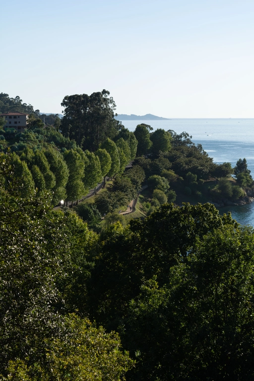 Pontevedra