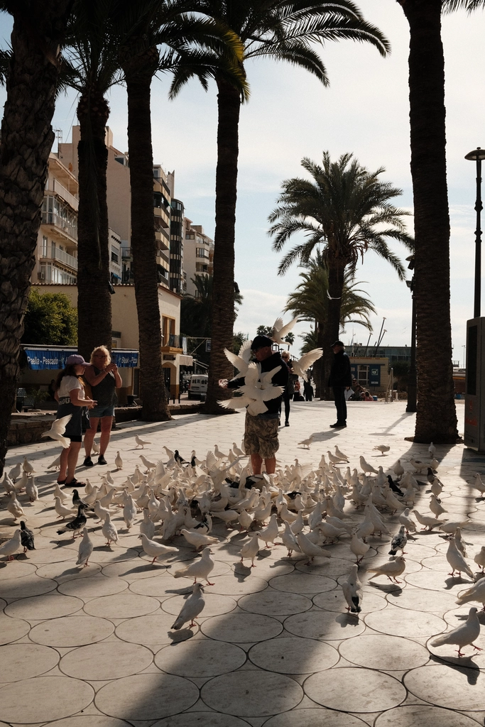 Postales de Benidorm
