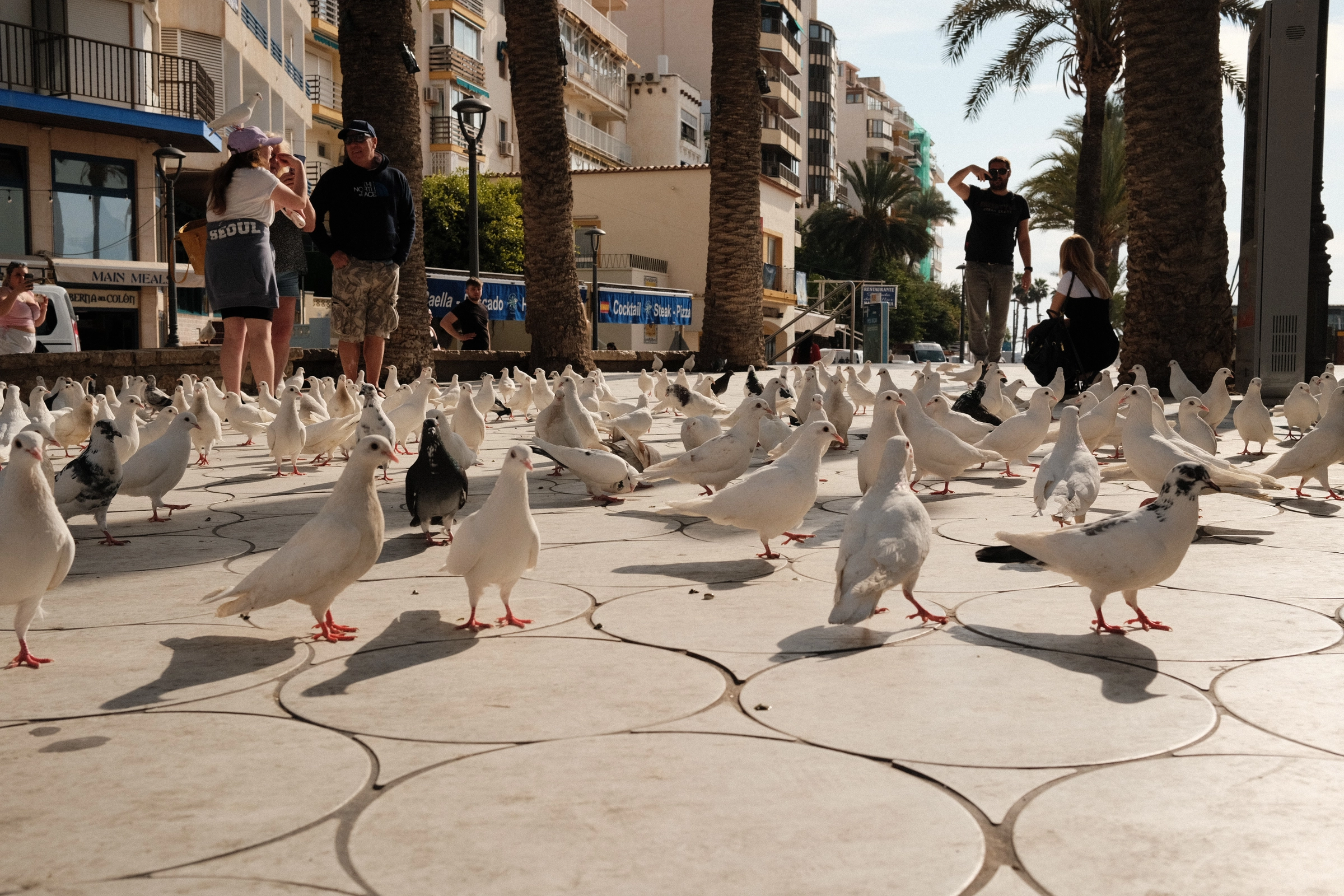 Postales de Benidorm